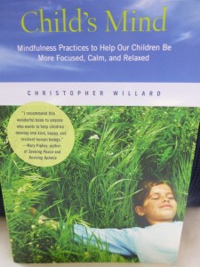 rsz_childs_mind_book